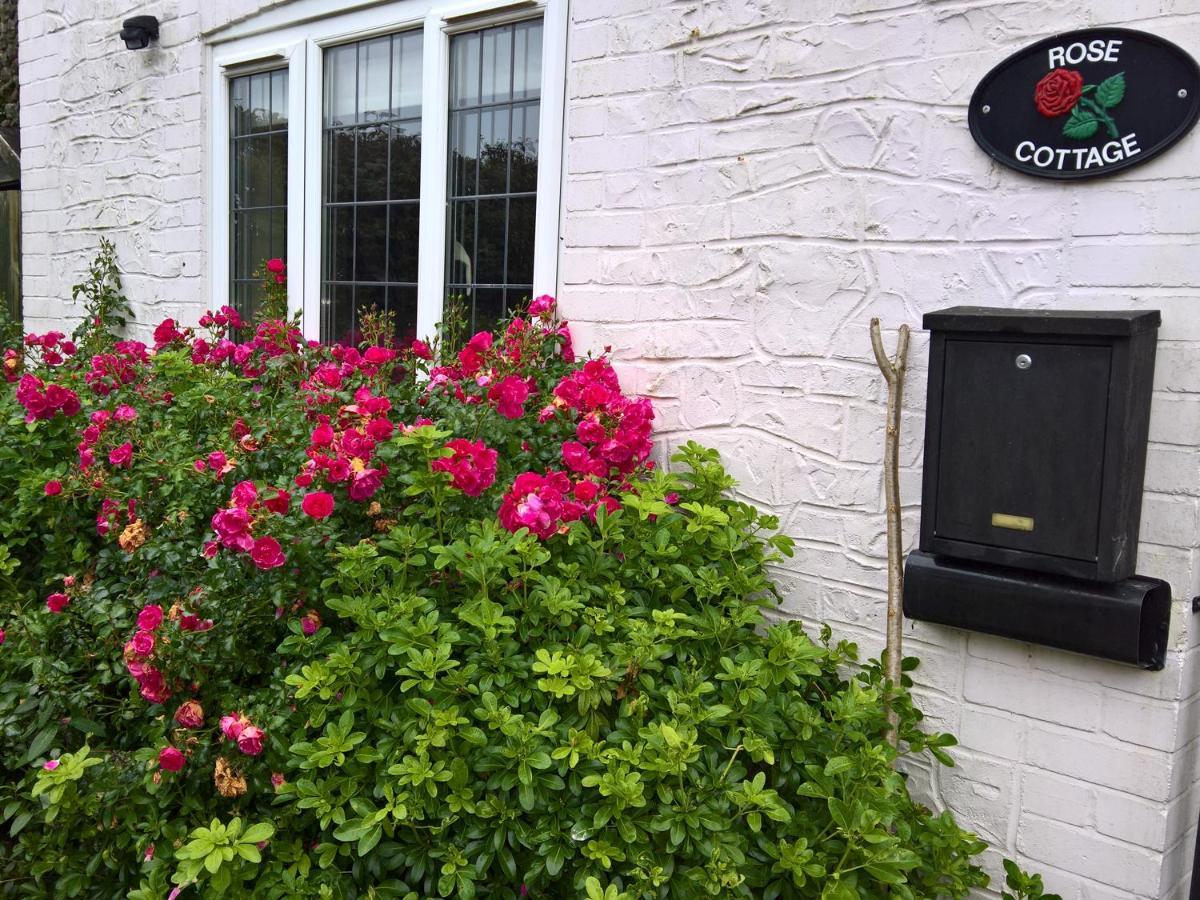 Rose Cottage チャード エクステリア 写真
